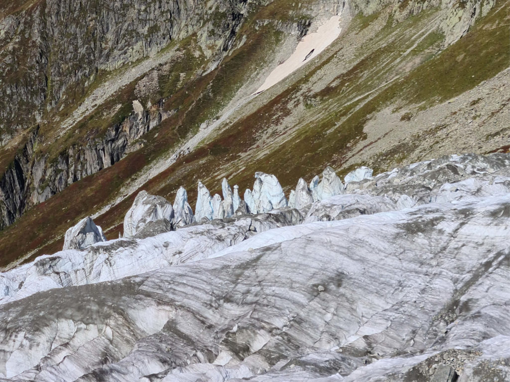 View of the Argentière glacier front